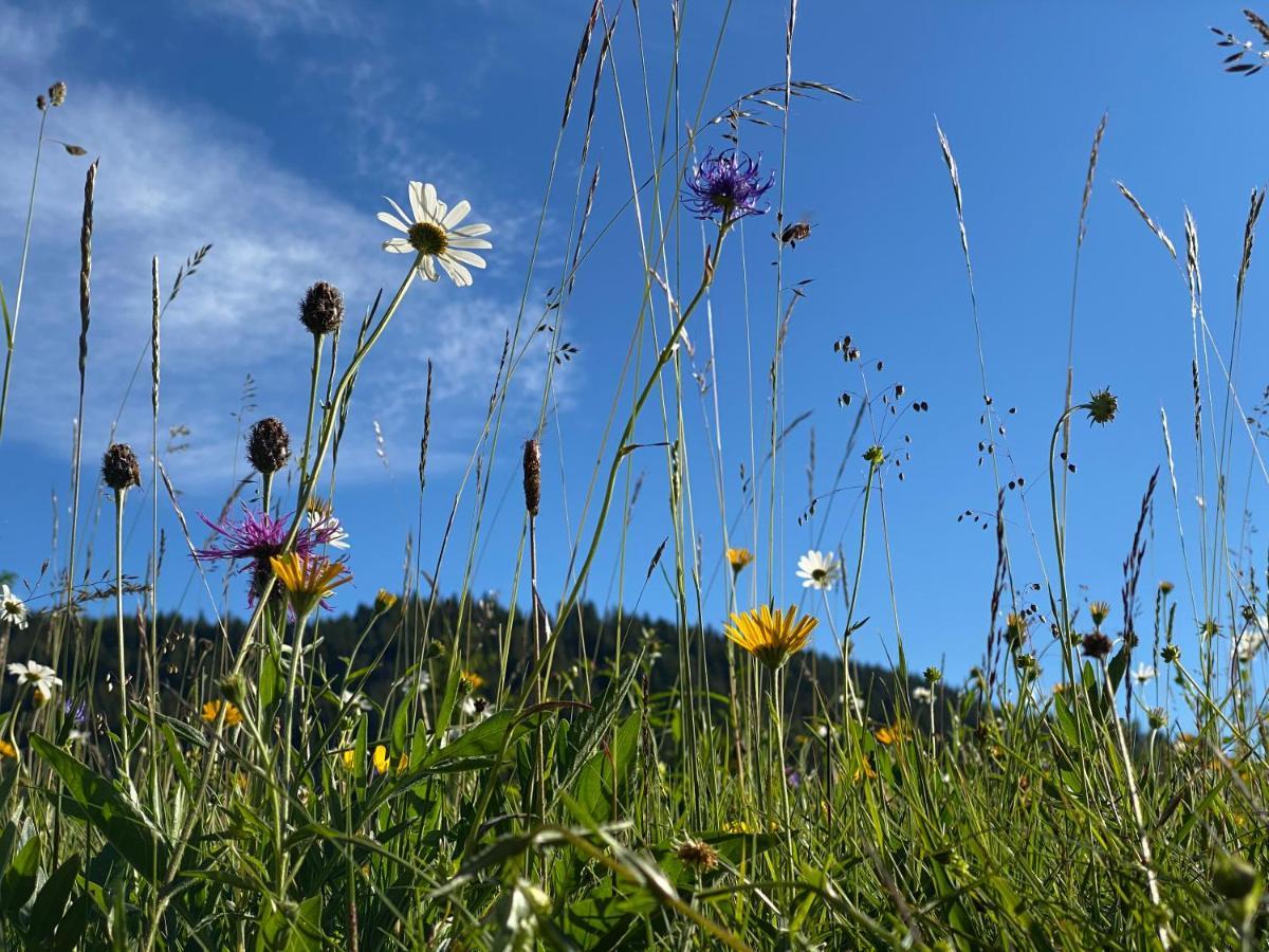 Hotel Alpenhof Kruen Exteriér fotografie