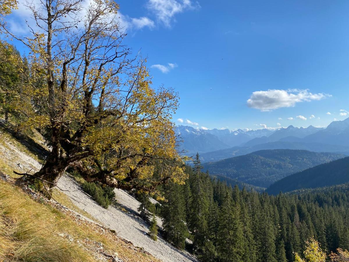Hotel Alpenhof Kruen Exteriér fotografie